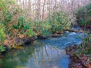 Fry Branch